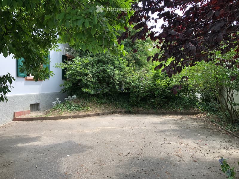 A driveway leading to a house, surrounded by lush greenery and trees, with a raised ground floor visible on the left side.