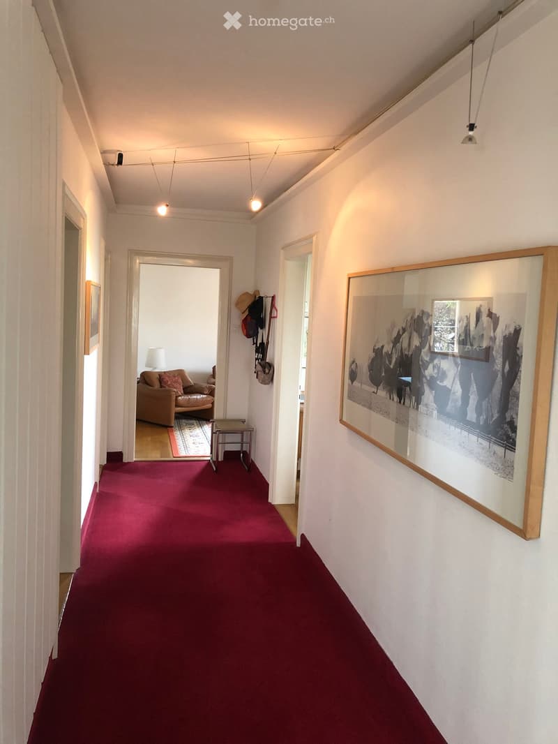 A narrow hallway with red carpeting, white walls, and modern lighting fixtures. Features include a framed artwork on the right wall, a small table with a lamp, and a glimpse of a living room area with a sofa and decorative pillows through an open doorway.