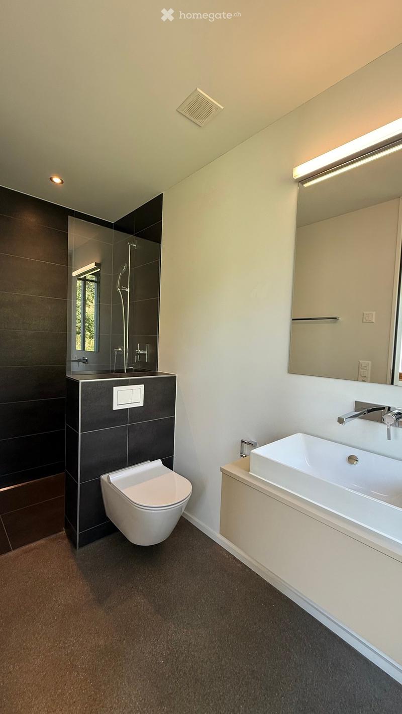 Modern bathroom with a white sink, toilet, large mirror, and sleek dark tiles in the shower area.