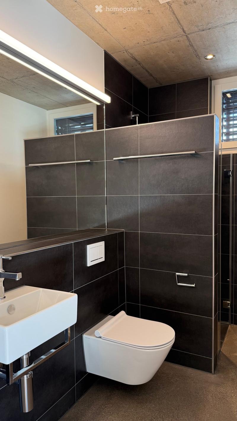 Modern bathroom with dark grey tiles, white sink, chrome faucet, and toilet. Features built-in storage and sleek design.