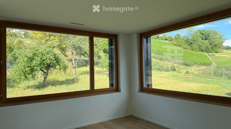 Empty room with large wooden-framed windows offering views of a green landscape and trees. Light-colored walls and wooden flooring.