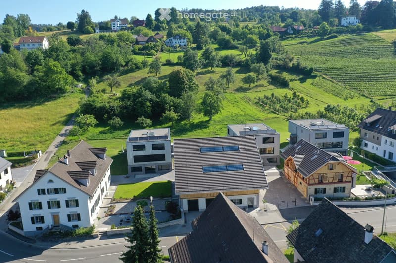 Aerial view of a residential area with multiple houses, surrounded by green fields and trees. Houses have varied architectural styles, including modern and traditional designs, with well-maintained lawns and driveways.