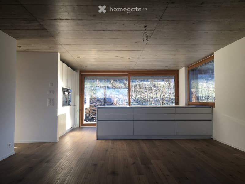 Empty room with wooden flooring, white walls, and large windows overlooking a snowy landscape. Minimalist design with a grey cabinet unit and recessed lighting.