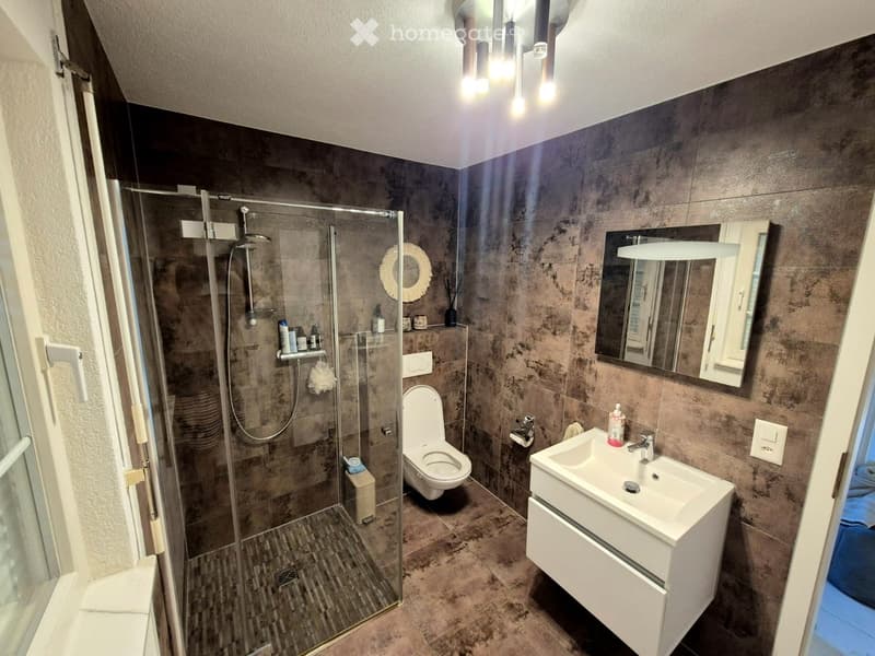 Modern bathroom with a glass-enclosed shower, toilet, sink with a mirror, and various toiletries on the shower shelf.