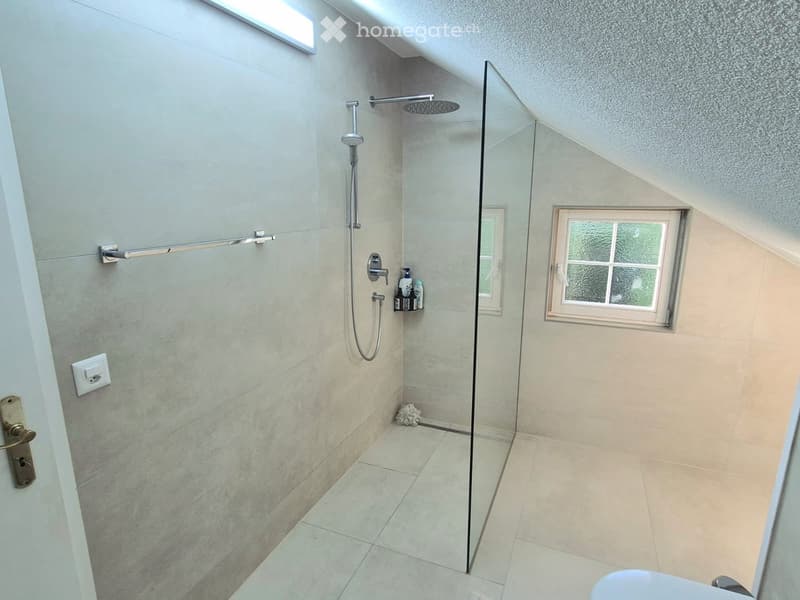 Modern bathroom with a glass-enclosed shower, a shower head, a shelf holding bottles, and a door handle visible.
