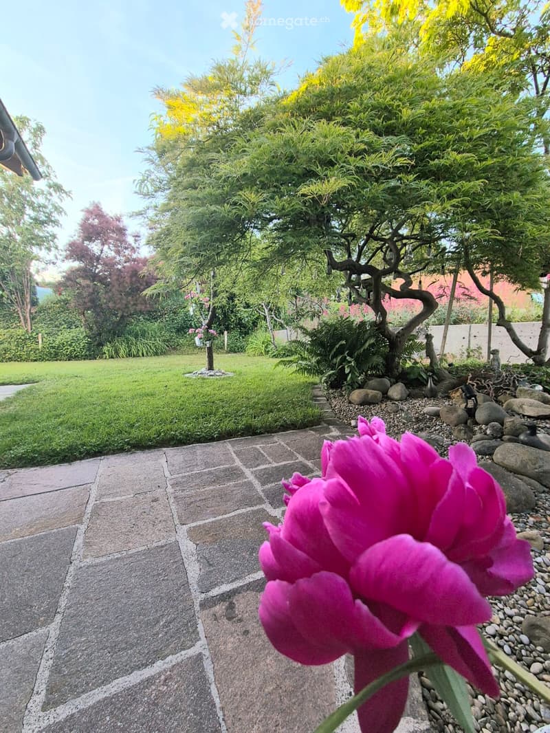 Well-maintained garden with a stone pathway, lush greenery, and a vibrant pink flower in the foreground.