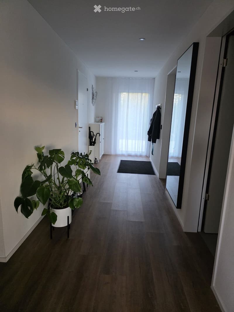 Modern hallway with wooden flooring, white walls, large mirror, potted plant, umbrella stand, and coat rack.