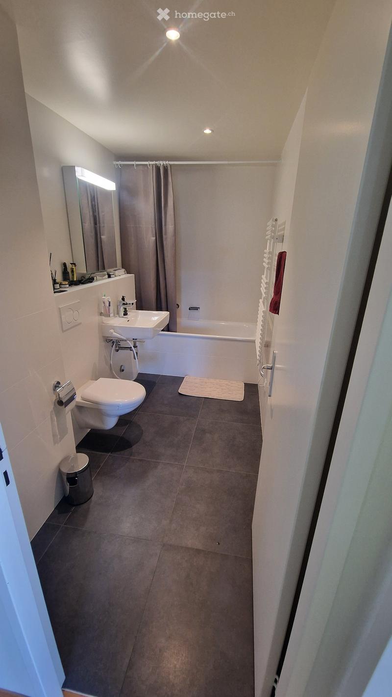 Modern bathroom with a toilet, sink, bathtub, mirror, towel rack, bath mat, and trash can. The space features gray tiled walls and floor, with a shower curtain and a built-in shelf above the sink.