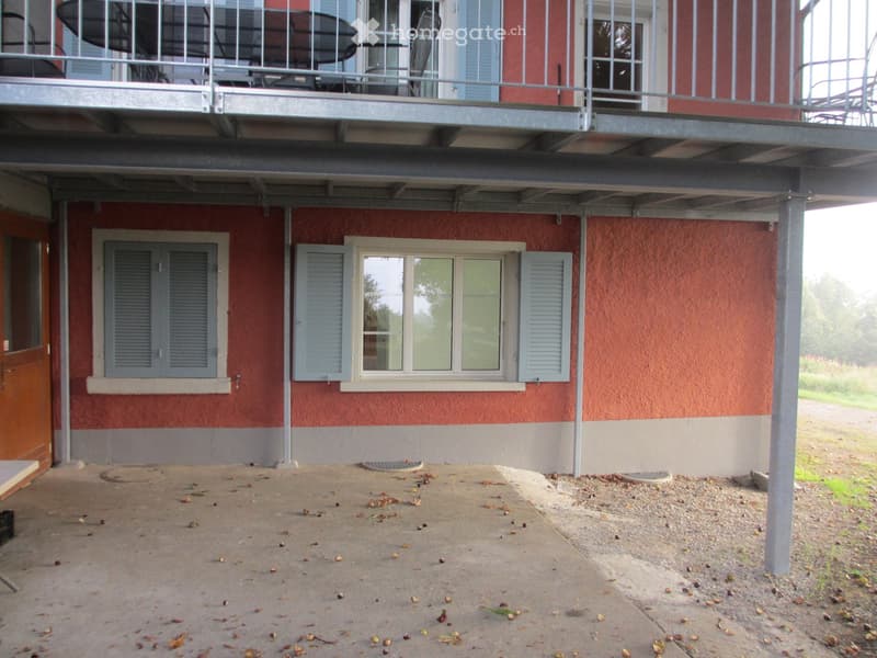 2.5 Zimmer-Wohnung im Grünen (13)
