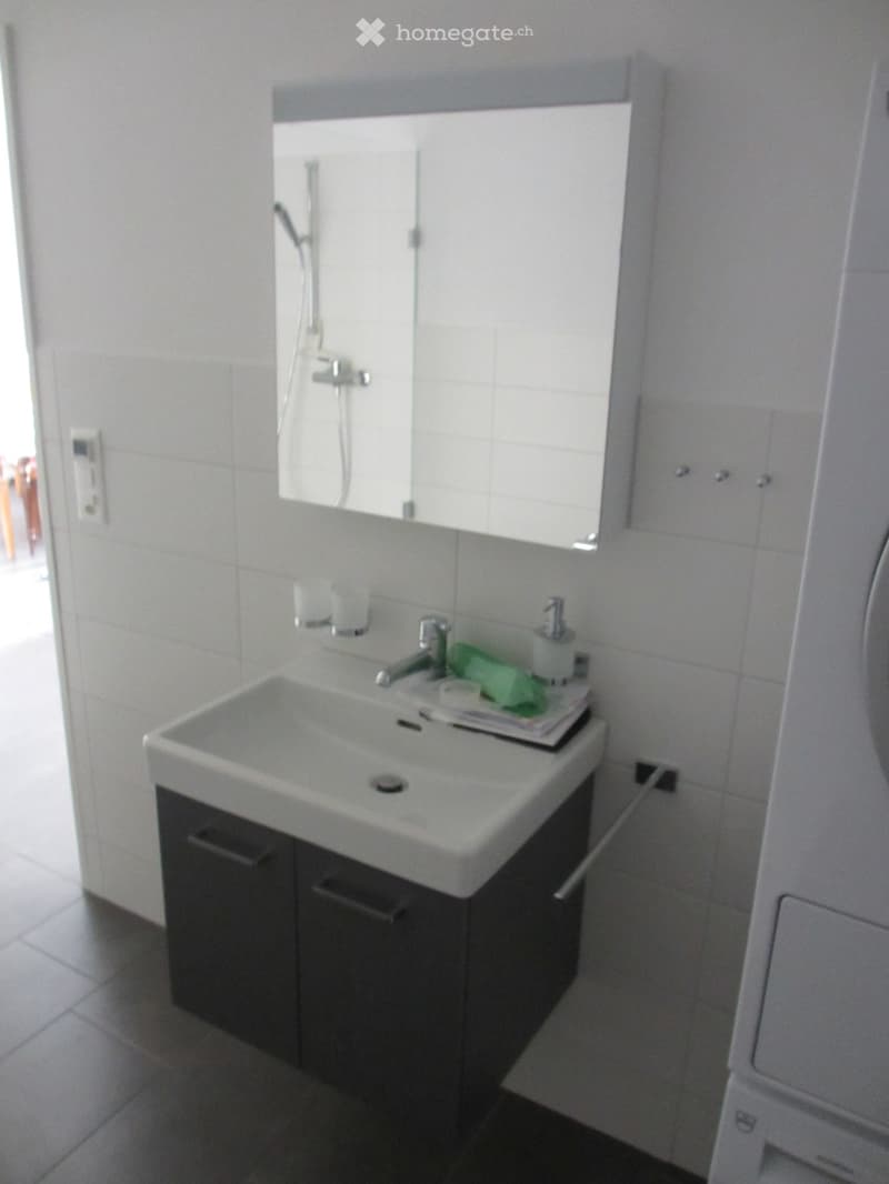 2.5 Zimmer-Wohnung im Grünen (9)
