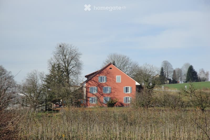 2.5 Zimmer-Wohnung im Grünen (2)