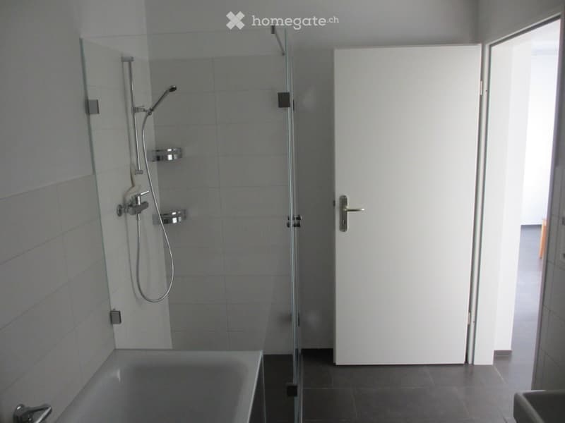 2.5 Zimmer-Wohnung im Grünen (8)