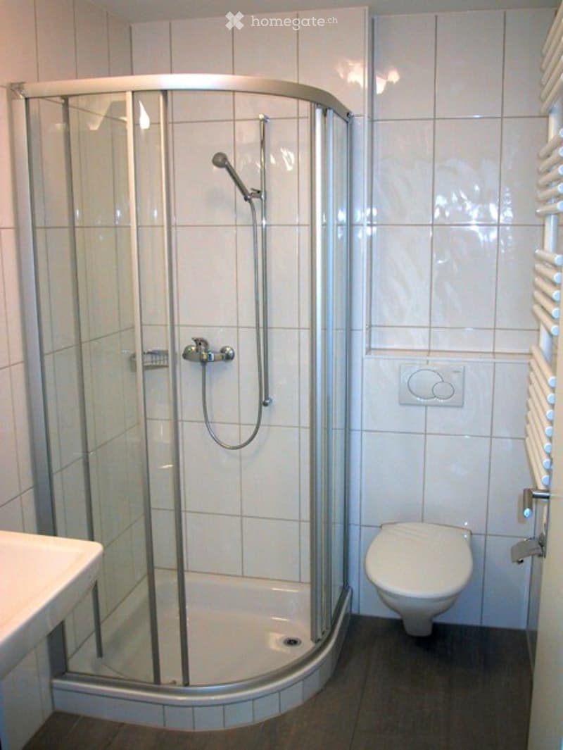 Modern bathroom with a glass-enclosed shower stall, a toilet, and a faucet. The walls are tiled in white, and the floor is dark.