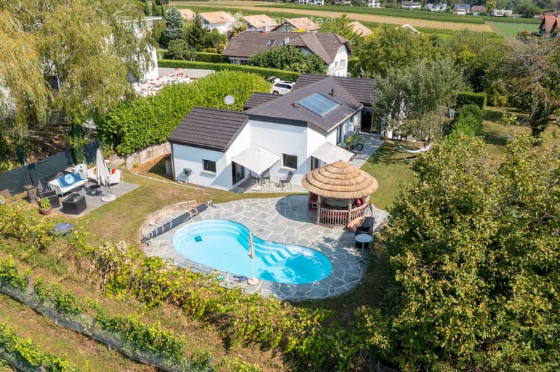 Aerial view of a modern house with a swimming pool, patio, and outdoor seating area surrounded by greenery and neighboring houses.