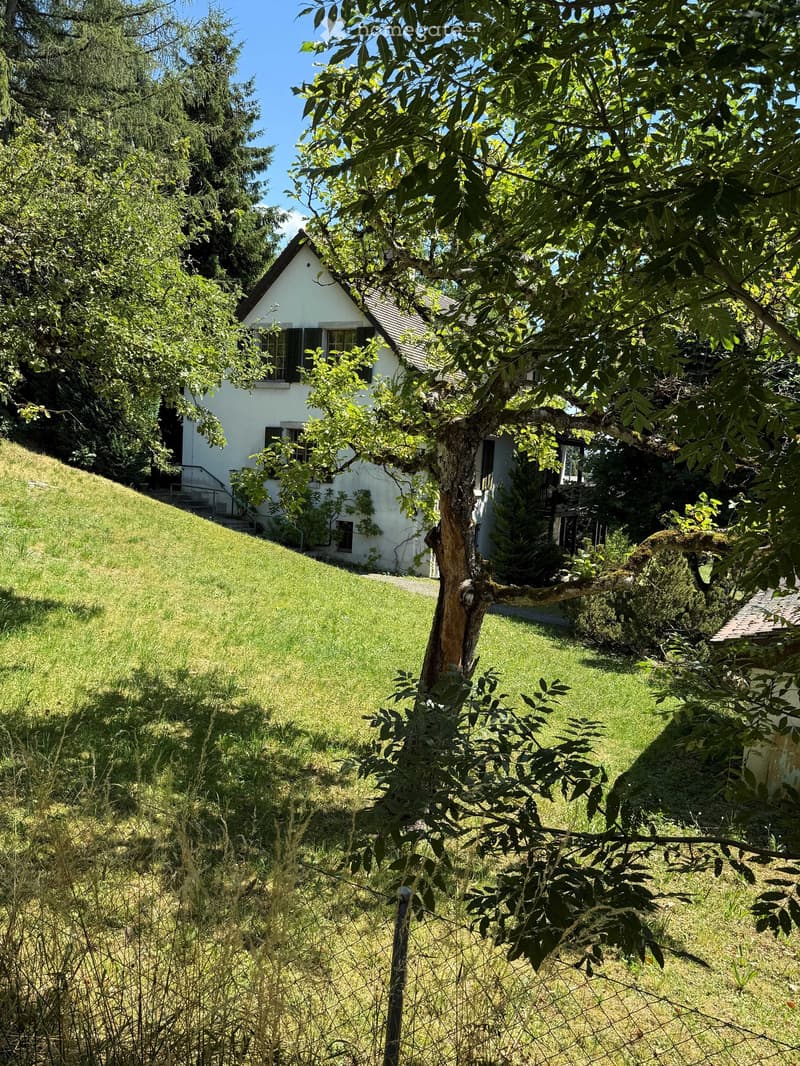 A small white house with a sloped roof is situated on a raised ground floor, surrounded by lush greenery and trees. The garden features a well-maintained lawn and a gravel pathway leading to the house.