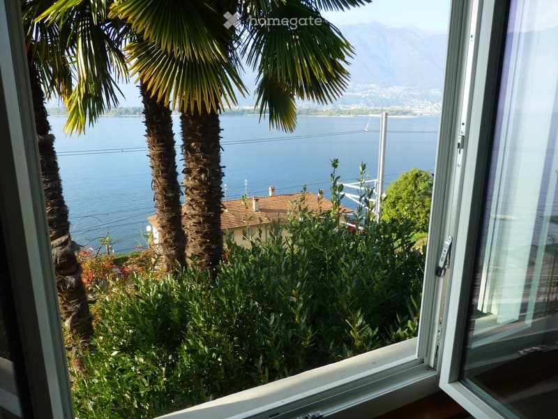 View from a balcony showing palm trees, a lake, and distant mountains.