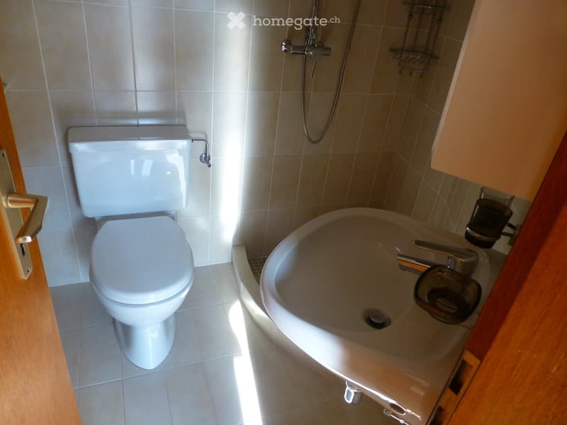 Modern bathroom with a toilet, bathtub, and showerhead. The walls are tiled, and the floor is also tiled.