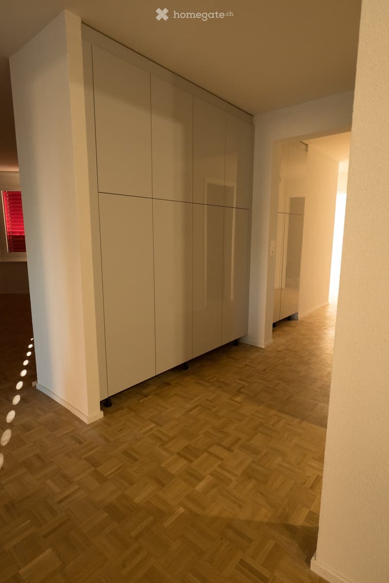 Modern hallway with herringbone wooden flooring, white walls, built-in storage units, and recessed lighting.