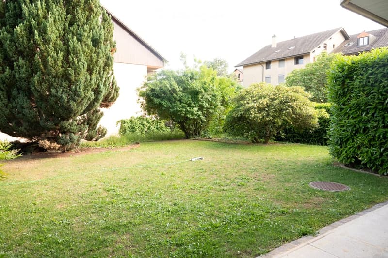 Well-maintained lawn surrounded by trees and bushes, with a large evergreen tree on the left and a residential building in the background.