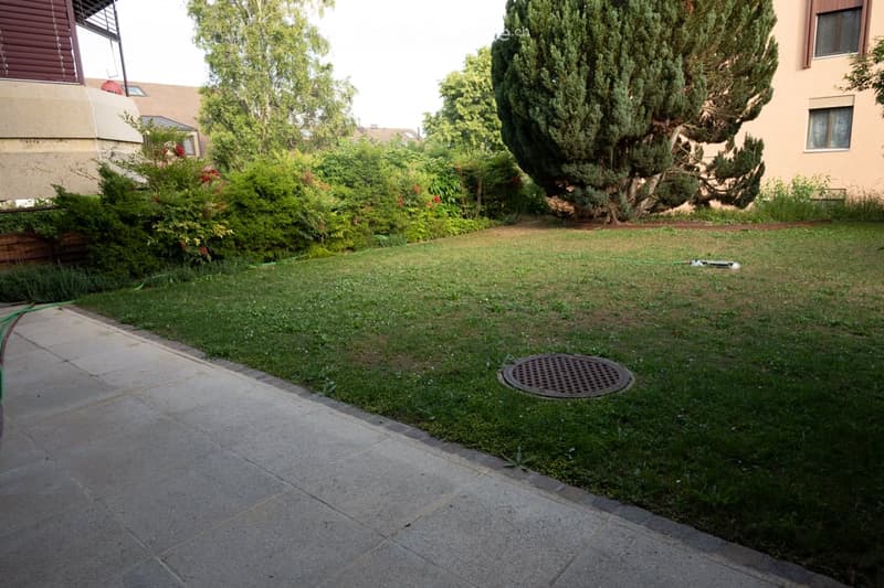 Well-maintained garden with a lawn, trees, shrubs, and a concrete pathway leading to a building entrance.