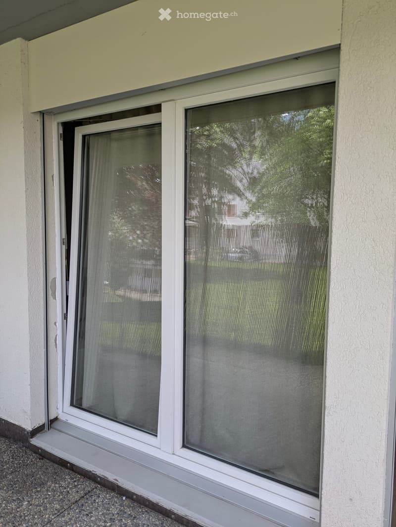 Sliding glass door with white frame, leading to outdoor area with visible greenery and fence.