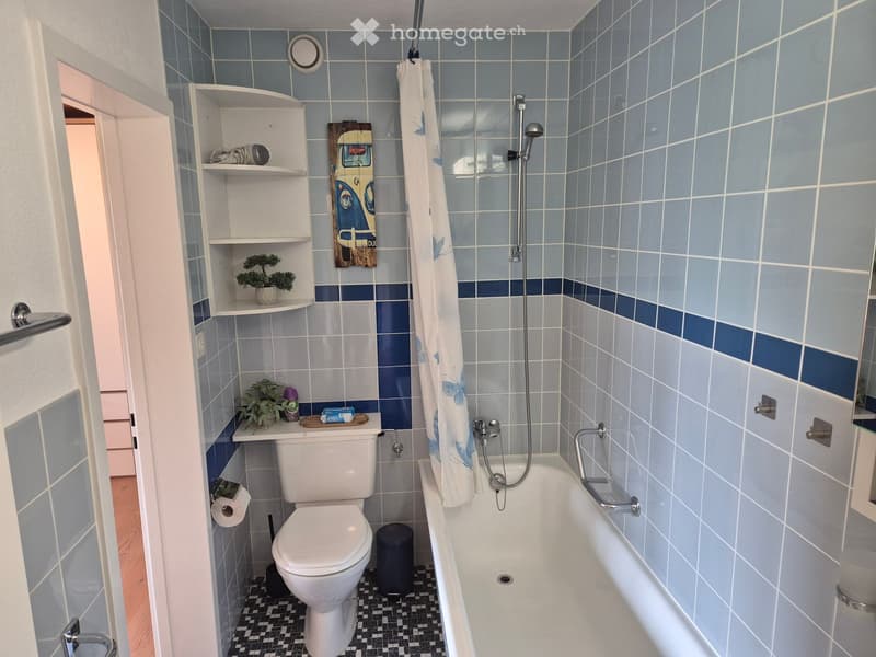 Bathroom with blue tiled walls, a bathtub with a shower, a toilet, shelves with plants, and a decorative painting.