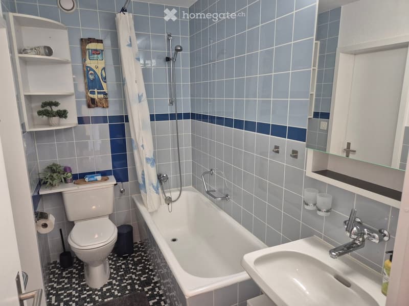 Bathroom with blue tiled walls, a bathtub, toilet, sink, shelves, and potted plants.