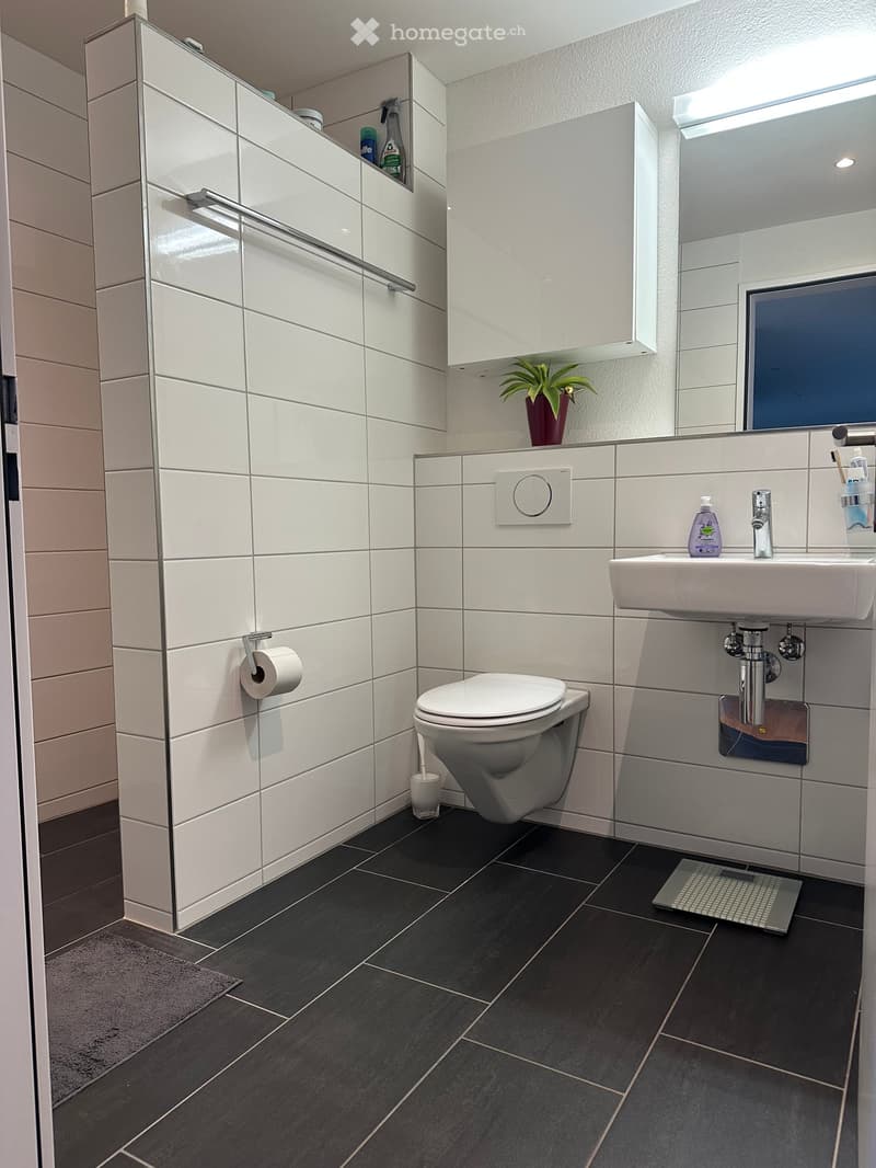 Modern bathroom with white tiles, black floor tiles, toilet, sink, mirror, and cabinet. Includes a small plant on the cabinet and cleaning supplies on the shelf.