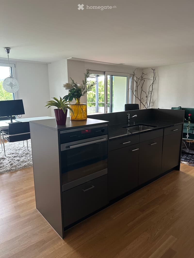Modern kitchen with dark grey cabinets, stainless steel oven, sink, and countertop. Features a hanging spherical lamp, potted plants, and a dining area with a table and chairs.
