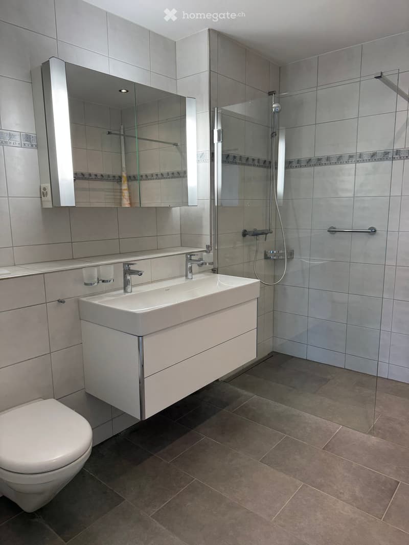 Modern bathroom with a white toilet, sink with a modern faucet, a large mirror with built-in lighting, and a glass-enclosed shower area.