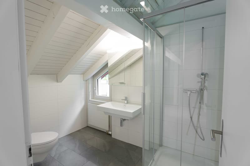 Modern bathroom with white tiled walls, a glass-enclosed shower, a white sink, and a toilet. The ceiling has exposed wooden beams and skylights.