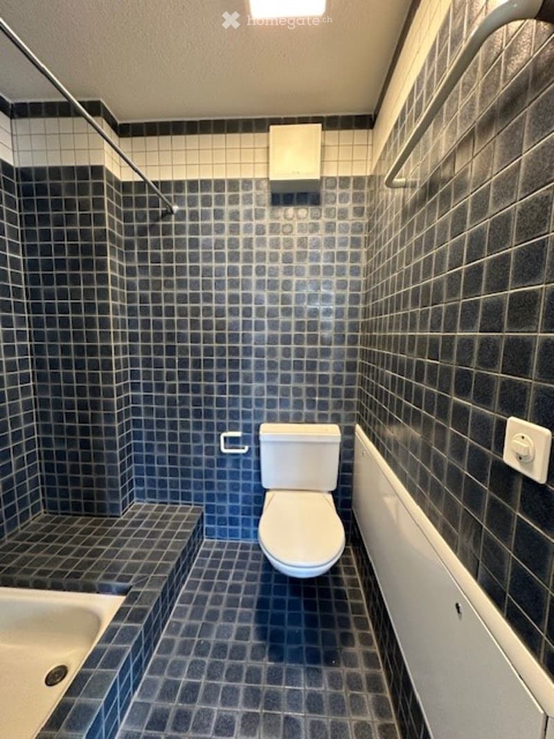 Bathroom with blue and white tiled walls, white toilet, bathtub, and shower area.