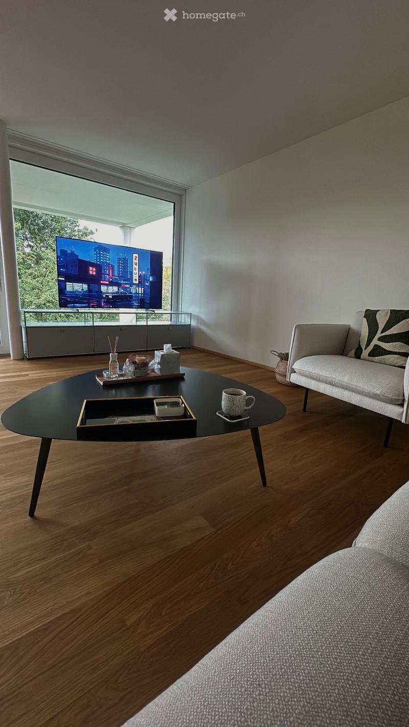 Modern living room with wooden flooring, large window, sofa, coffee table, television, and decorative items.