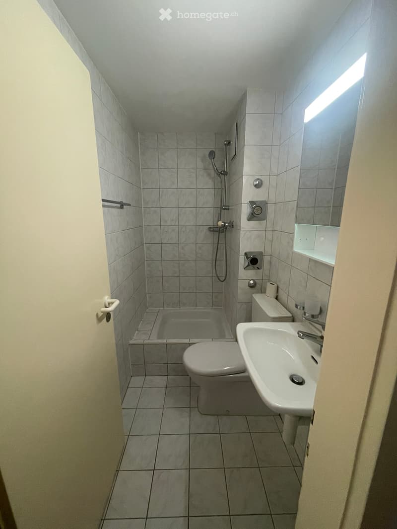 Modern bathroom with tiled walls and floor, featuring a shower, toilet, sink, and mirror. The shower has a handheld sprayer and a built-in seat.