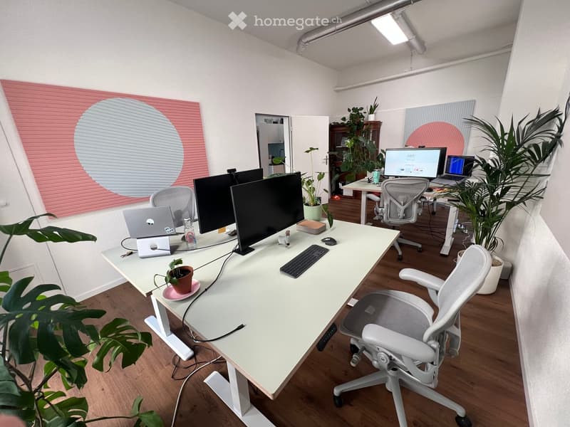 Modern office space with white desks, ergonomic chairs, multiple monitors, laptops, and decorative plants.