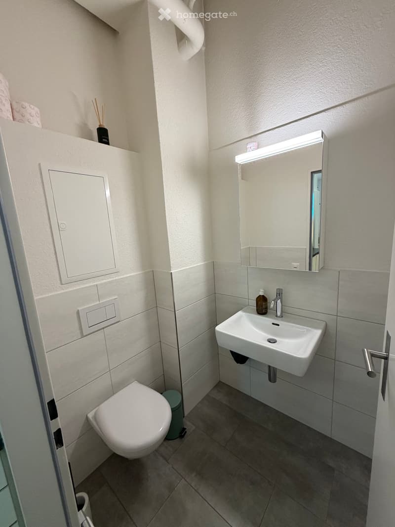 Modern bathroom with white tiles, a toilet, a sink with a mirror, and a small cabinet. Includes a bottle on the sink and a light fixture above the mirror.