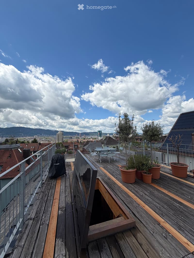 Wooden terrace with metal railing, outdoor furniture, potted plants, and cityscape view.