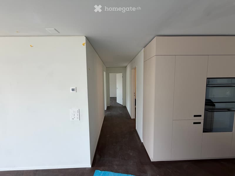 Empty hallway with white walls, dark flooring, and built-in cabinets on one side.
