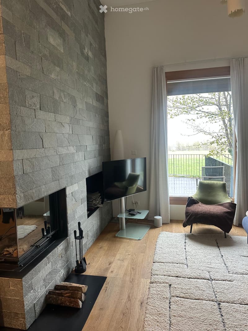 Modern living room with a stone fireplace, flat-screen TV on a stand, a green armchair, and a white shag rug.