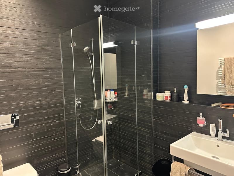 Modern bathroom with dark tiled walls, a glass-enclosed shower, a white sink with a modern faucet, a toilet, and a mirror with built-in storage. Shelves hold various toiletries and a towel rack with towels.