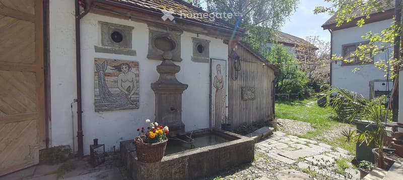 Courtyard with a stone fountain, mosaic artwork, potted plants, and a wooden shed.
