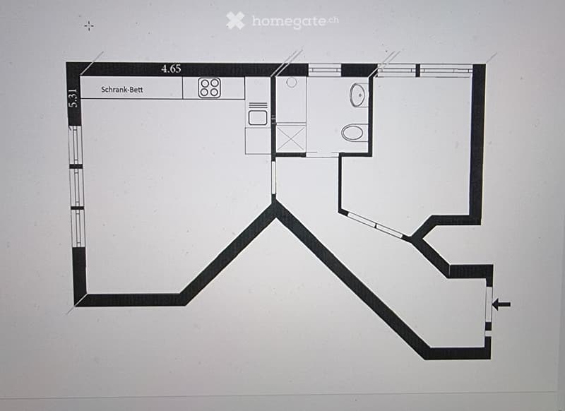 Open kitchen, living room, bathroom, bedroom