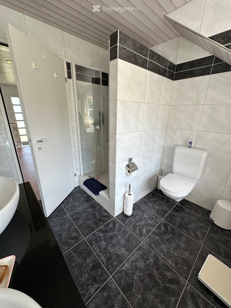 Modern bathroom with dark tiled floor, white toilet, bathtub, toilet paper holder, and a glass-enclosed shower area.