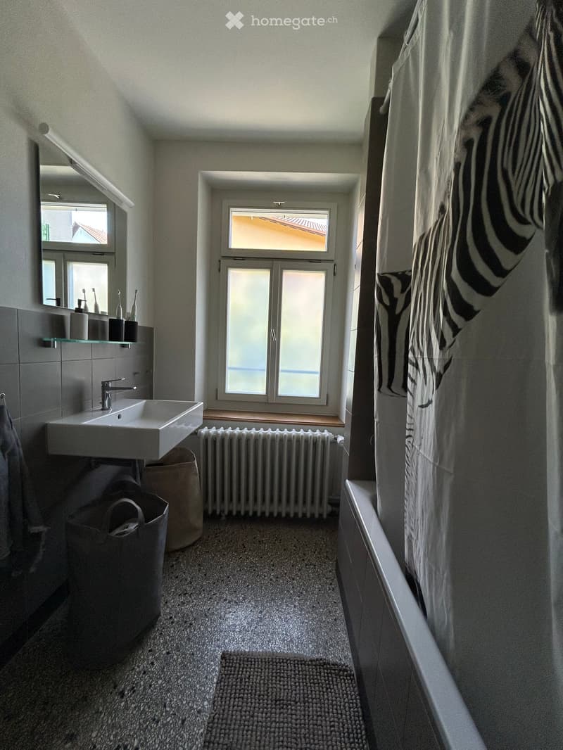 Modern bathroom with a white sink, mirror, radiator, bathtub, and a zebra-print curtain. The space features a glass shelf with toiletries and a small window letting in natural light.