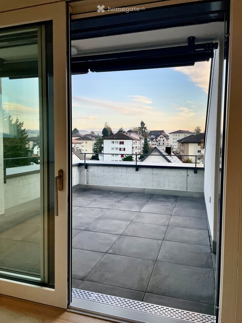 Open balcony with grey tiled floor, metal railing, and a view of a suburban neighborhood with houses and trees.