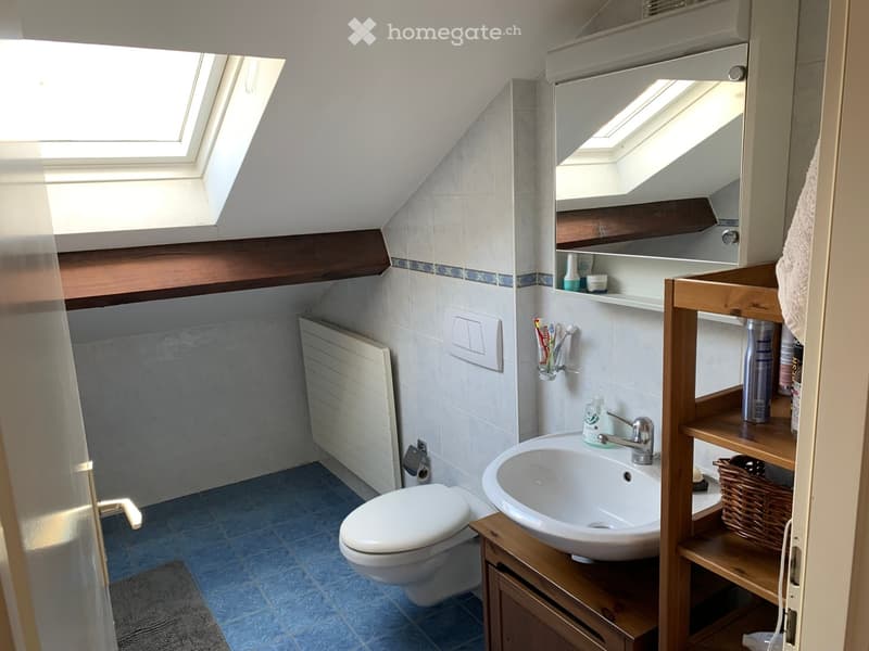 Cozy attic bathroom with skylight windows, white tiles, wooden shelves, and a small sink and toilet.