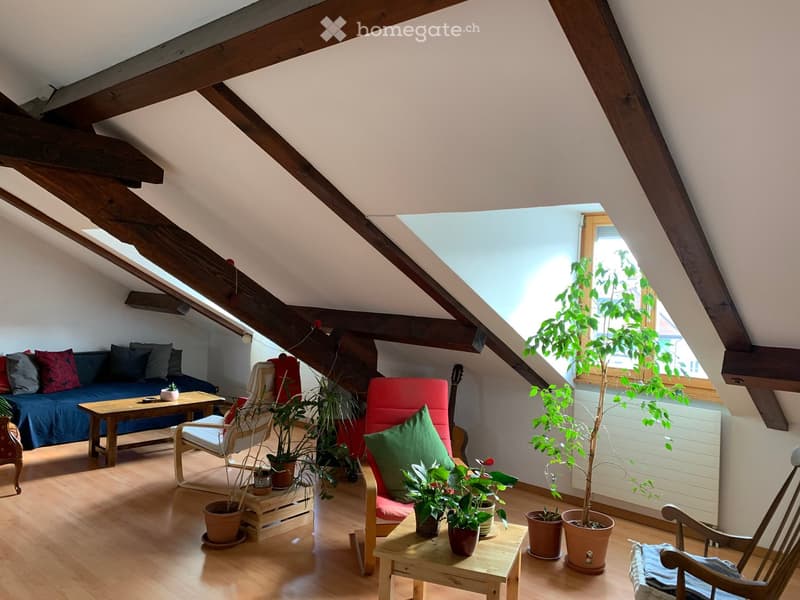 Cozy attic living space with wooden beams, skylight, and large window. Features a blue sofa, wooden coffee table, red armchair, and several potted plants.