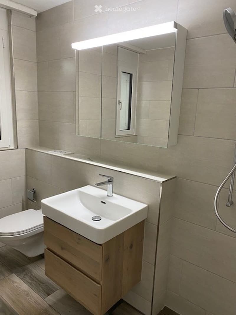 Bathroom with white sink, wooden cabinet, white toilet, mirror, and shower head