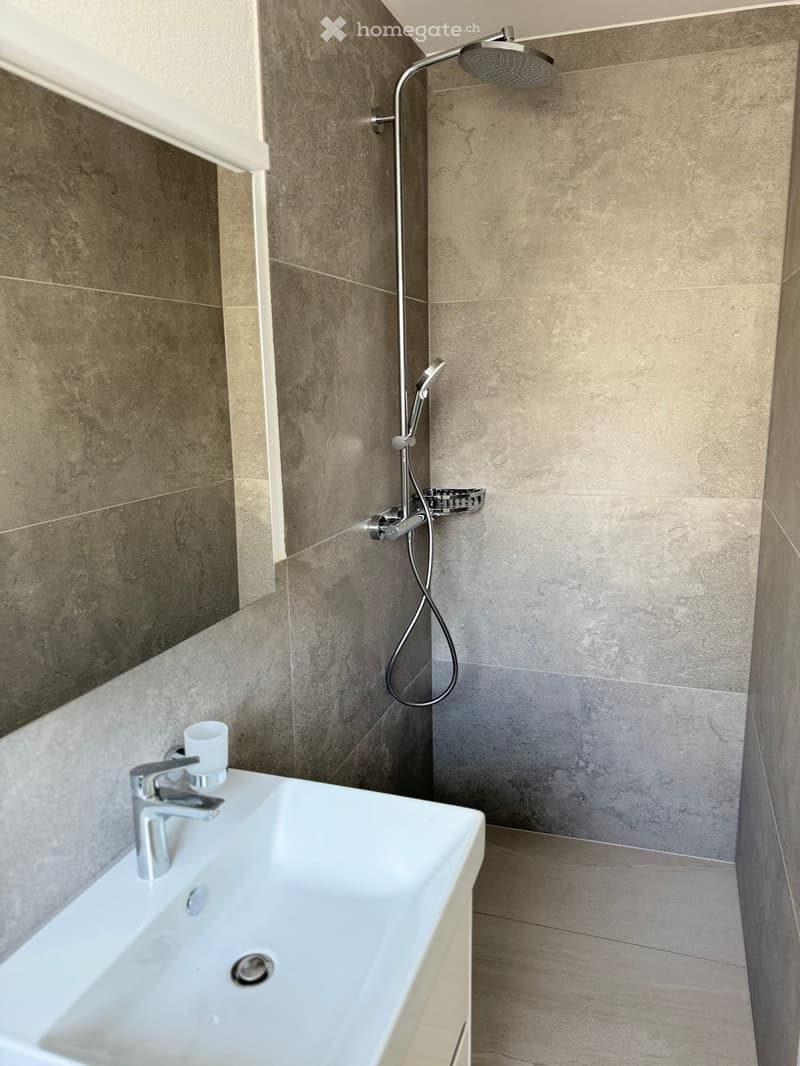Modern bathroom with a white sink, chrome faucet, a cup on the sink, and a showerhead with a flexible hose mounted on a tiled wall.