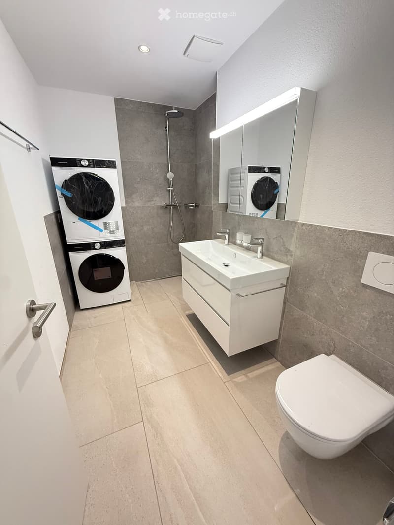Modern bathroom with a white sink, toilet, mirror, and a washing machine in the corner. The shower area is visible with a modern design.
